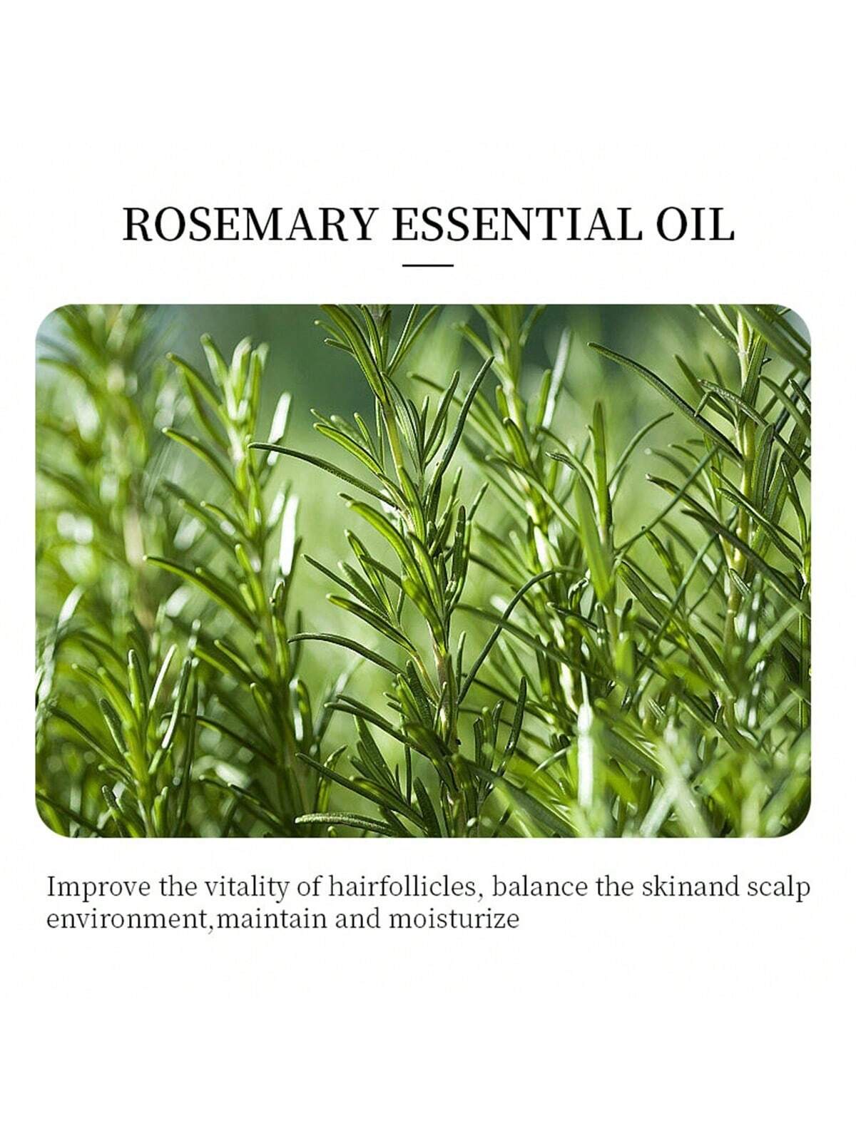 SHEIN Natural Rosemary Essential Oil, 100% Organic Pure