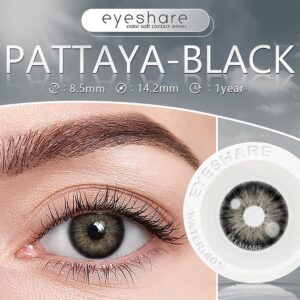 SHEIN 1 Pair Purple Gray Colored Contact Lenses