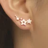 SHEIN 1pair Creative Fashion Simple Small Zirconia Star Earrings