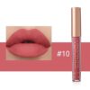 SHEIN Matte Mist Liquid Lipstick Waterproof Non Stick Cup Lip #10