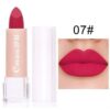 SHEIN Long lasting material simple to dye lipstick