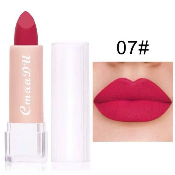 SHEIN Long lasting material simple to dye lipstick