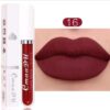 Liquid Lipcolor,Waterproof Long-lasting Matte Lip Gloss BY SHEIN