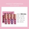 SHEIN Fit Colors Velvet Matte Liquid Lipstick,4Pcs