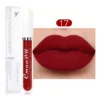 SHEIN Waterproof Long lasting Matte Lip Gloss 17 Non Stick Cup Lip Cream