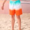 SHEIN Young Boy Ombre Drawstring Waist Swim Shorts
