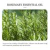 SHEIN Natural Rosemary Essential Oil, 100% Organic Pure