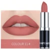 SHEIN HANDAIYAN Matte Moisturizing Lipstick