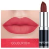 SHEIN HANDAIYAN Matte Mist Permanent Moisturizing Lipstick #09