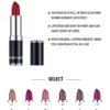 SHEIN HANDAIYAN Matte Mist Permanent Moisturizing Lipstick #09
