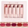 SHEIN Matte Lipstick Kit, 5Pcs Moisturizing Lipstick Kit Lipstick Makeup Set
