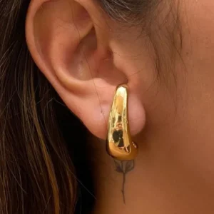 Stainless Steel Earrings